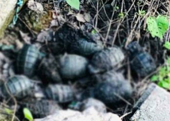 கைக்குண்டுகள் மற்றும் ஆயுத பாகங்கள் மீட்பு!