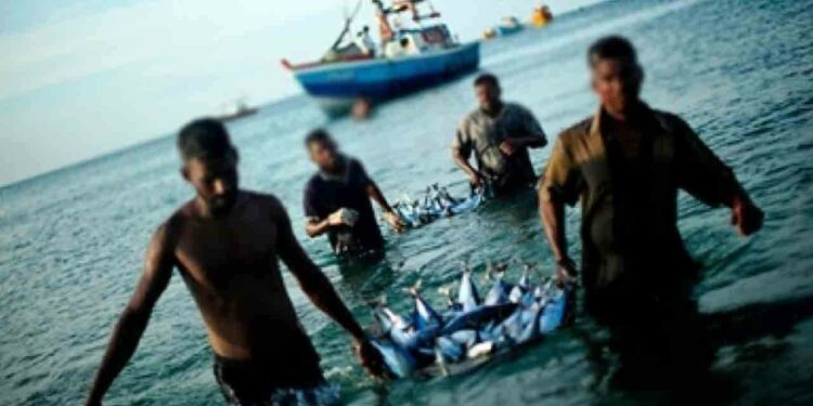 மீனவர்களுக்கு மீண்டும்  ஓய்வூதியத் திட்டத்தை ஆரம்பிக்க எதிர்பார்ப்பு!