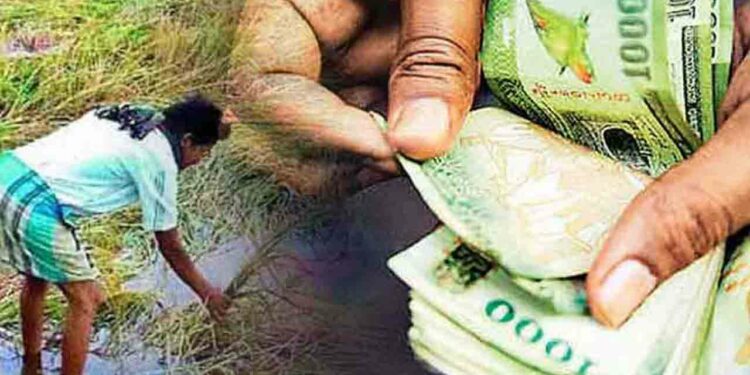 விவசாயிகளுக்கு 1,484 மில்லியன் ரூபாய் இழப்பீடு!