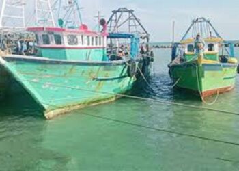 மயிலிட்டி துறைமுகத்தில் உள்ள இந்திய படகுகளை அப்புறப்படுத்த நடவடிக்கை!