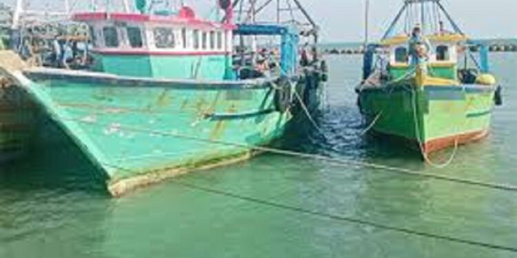 மயிலிட்டி துறைமுகத்தில் உள்ள இந்திய படகுகளை அப்புறப்படுத்த நடவடிக்கை!