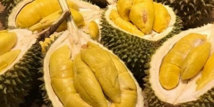 தூரியன் பழம் சாப்பிட்டவருக்கு நிகழந்த சோகம்!