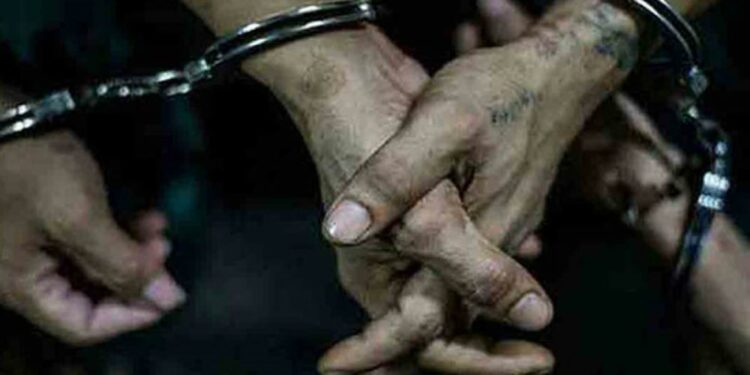 ஈஸி கேஷில் விநியோகிக்கப்படும் பொருட்கள் தொடர்பில் வெளியாகிய முக்கிய தகவல்!