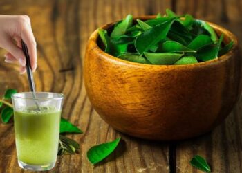 வெறும் வயிற்றில் கறிவேப்பிலை தண்ணீர் குடிங்க உங்க உடலில் தெரியும் மாற்றங்கள்