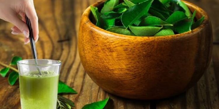 வெறும் வயிற்றில் கறிவேப்பிலை தண்ணீர் குடிங்க உங்க உடலில் தெரியும் மாற்றங்கள்