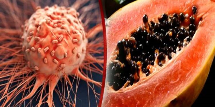 புற்றுநோய் செல்களின் வளர்ச்சியை குறைக்கும் பழம்