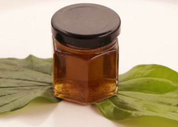 இளநரை பிரச்சினையை சரி செய்யும் வெற்றிலை எண்ணெய்