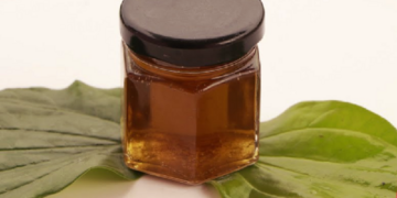 இளநரை பிரச்சினையை சரி செய்யும் வெற்றிலை எண்ணெய்