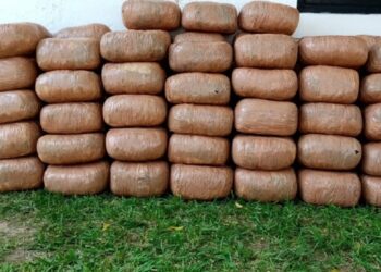 பொலிசாரால் மீட்ப்பட்ட பல இலட்சம் பெறுமதியான கஞ்சா