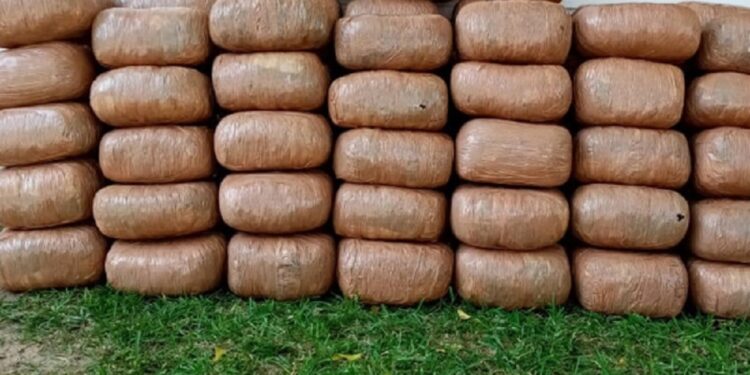 பொலிசாரால் மீட்ப்பட்ட பல இலட்சம் பெறுமதியான கஞ்சா