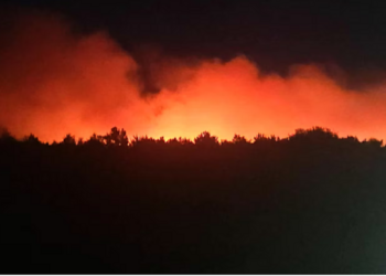 கனடா ஒட்டாவாவில் காட்டுத்தீ!