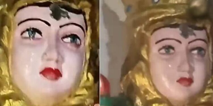 யாழில் நிகழ்ந்த அற்புதம் பார்க்க படையெடுக்கும் மக்கள்!