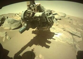 செவ்வாய் கிரகத்தில் உயிரினத்தின் தடையம்!