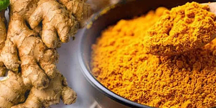 மஞ்சள் மற்றும் இஞ்சி பயிற்செய்கைக்கு விசேட காப்பீட்டுத் திட்டம்