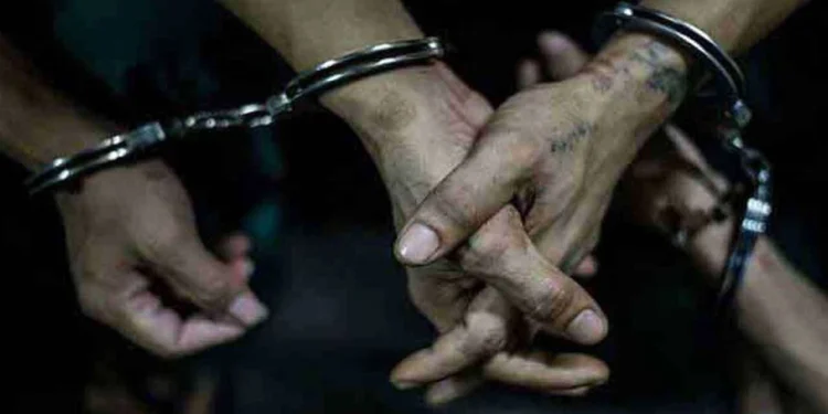 பாதாள உலகக்குழு உறுப்பினர்கள் மேலும் பலர் கைது!