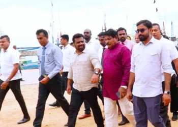 மயிலிட்டி துறைமுகத்தின் அபிவிருத்தி பணிகள் ஆரம்பம்!