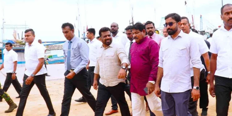 மயிலிட்டி துறைமுகத்தின் அபிவிருத்தி பணிகள் ஆரம்பம்!