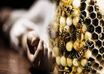 யாழில் குழவிக் கொட்டுக்கு இல்லக்கான பெண் மரணம்!