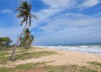 வடமராச்சி கிழக்கு தாளையடி கடற்கரைக்கு செல்வோருக்கு எச்சரிக்கை!