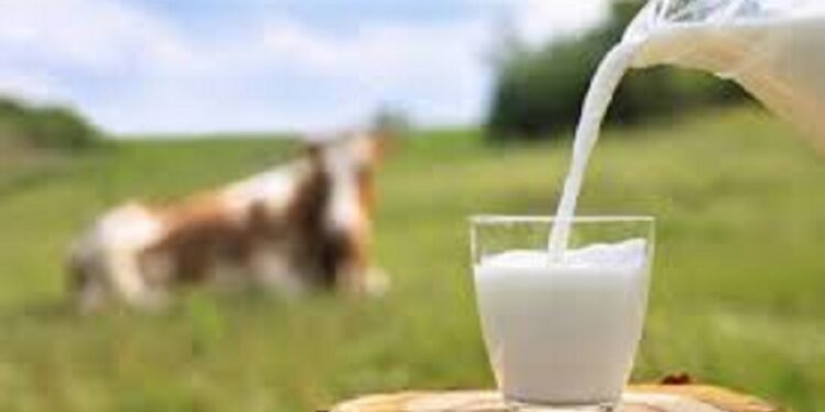 பால் உற்பத்தித் துறையை வலுப்படுத்த நடவடிக்கை!