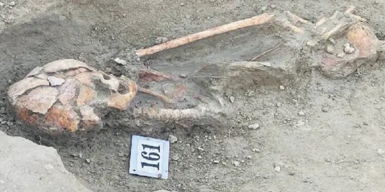 செம்மணியில் புதிதாக 08 எலும்புக்கூட்டு தொகுதிகள் மீட்பு!