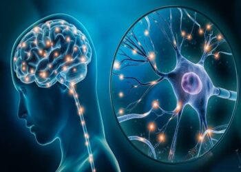 மூளை எப்போது தூக்குகிறது? பலரும் அறியாத சுவாரஸ்யமான உண்மைகள்!