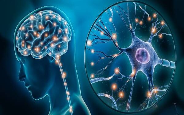 மூளை எப்போது தூக்குகிறது? பலரும் அறியாத சுவாரஸ்யமான உண்மைகள்!