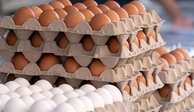 முட்டை விலையை 10 ரூபாவால் குறைக்க நடவடிக்கை!