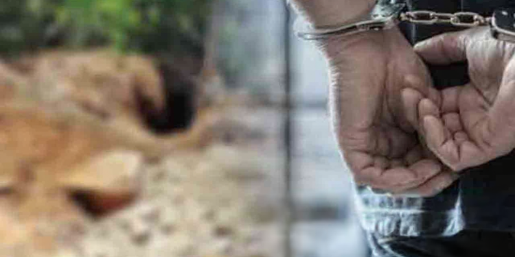 புதையல் தோண்டிய பலர் கைது