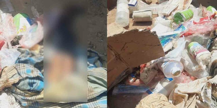 யாழ்ப்பாணப் பல்கலைக்கழக நூலகத்தில் ரி-56 துப்பாக்கி ஒன்றும் கண்டெடுப்பு