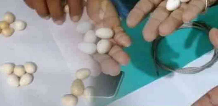 30 கோடி ரூபாய் பெறுமதியான கஜமுத்துக்கள் மீட்பு