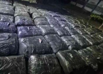 இலங்கைக்கு கடத்த முயன்ற ஒரு தொகை பீடி இலைகள் பறிமுதல்!