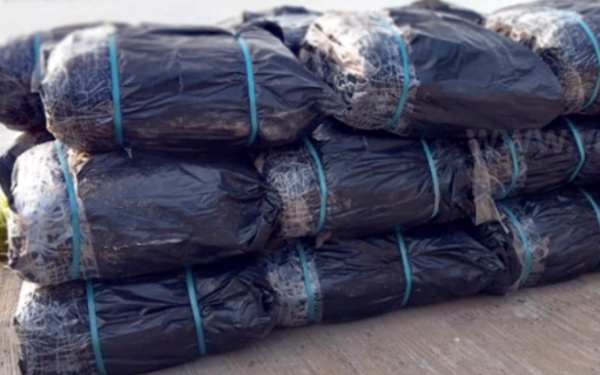 தமிழர் பகுதியில் சவர்காரகட்டிகளுடன் கடற்படையினரிடம் சிக்கிய கெப் வண்டி