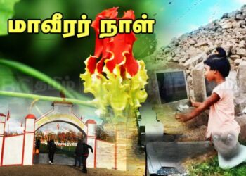 மாவீரத்தின் மகத்துவத்துவத்தை உணர்த்தி நிற்கும் தமிழர் தேசம்!