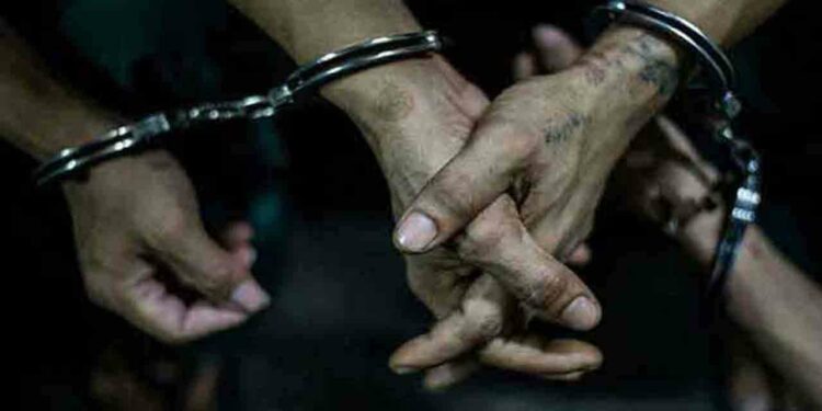 இலங்கை மீன்பிடி கூட்டுத்தாபனத்தின் முன்னாள் தலைவர் உட்பட நால்வர் கைது