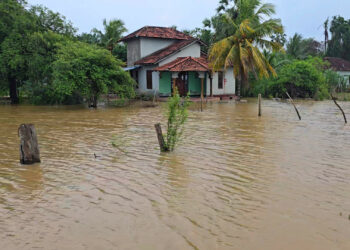 திருகோணமலை மாவட்டத்தில் மீண்டும் வெள்ள அபாயம் – விவசாயிகள் கவலை