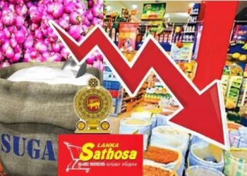 பல அத்தியாவசிய உணவுப் பொருட்களின் விலை தொடர்பில் வெளியான தகவல்