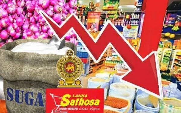 பல அத்தியாவசிய உணவுப் பொருட்களின் விலை தொடர்பில் வெளியான தகவல்