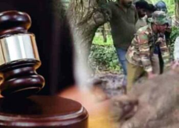 யானைக்கு தீவைத்த சம்பவம் – சந்தேநபர்கள் மீண்டும் விளக்கமறியலில்