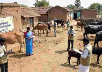 வட மாகாண கால்நடைகள் பதிவு தொடர்பான அறிவிப்பு