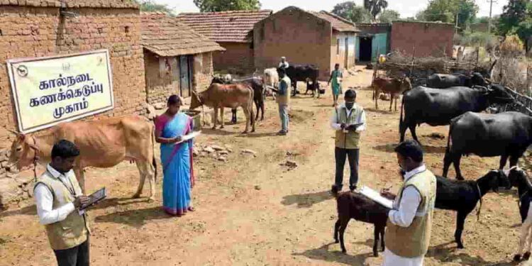 வட மாகாண கால்நடைகள் பதிவு தொடர்பான அறிவிப்பு